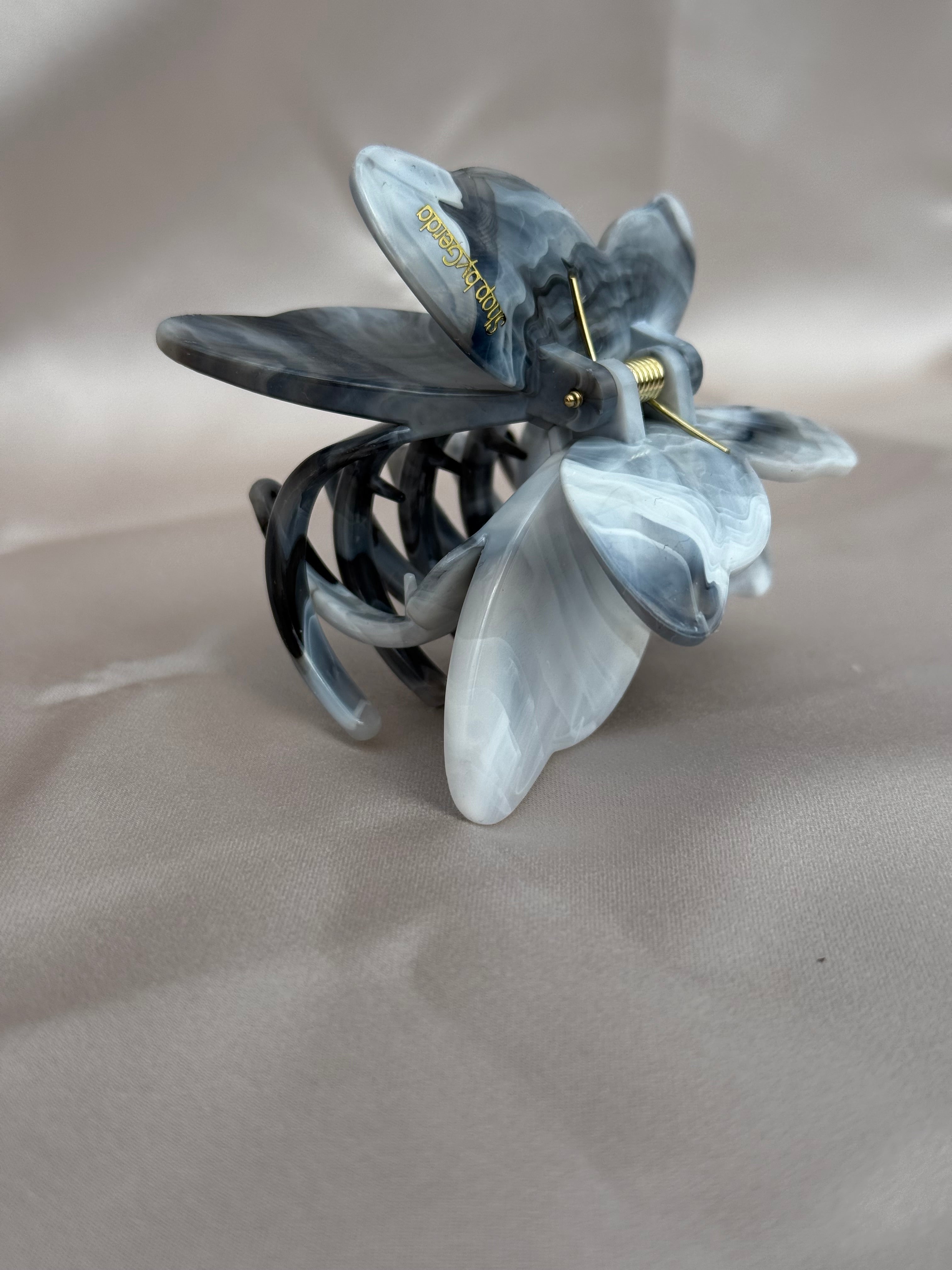 Pilkas drugelis kapkap