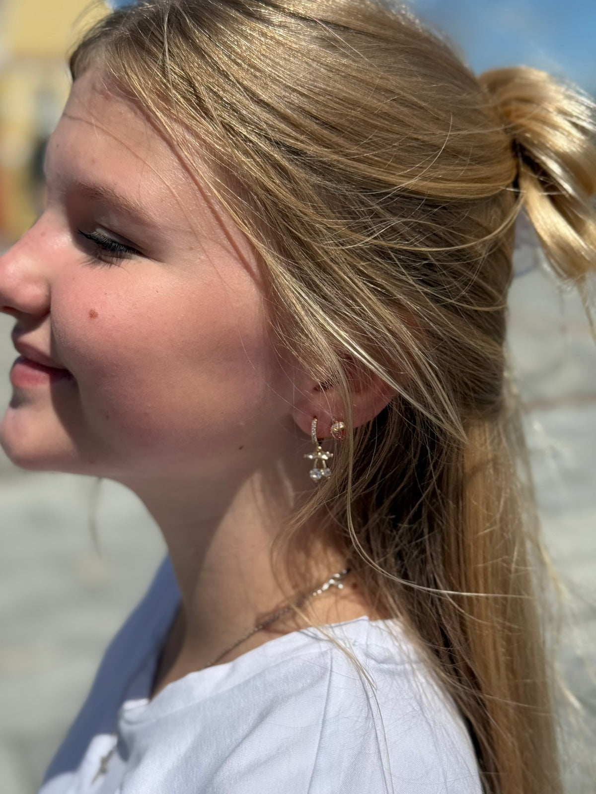 Vyšnaitės su cirkoniais 🕊️