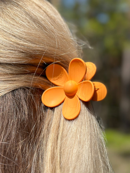 Oranžinė KapKap gerbera 🧡