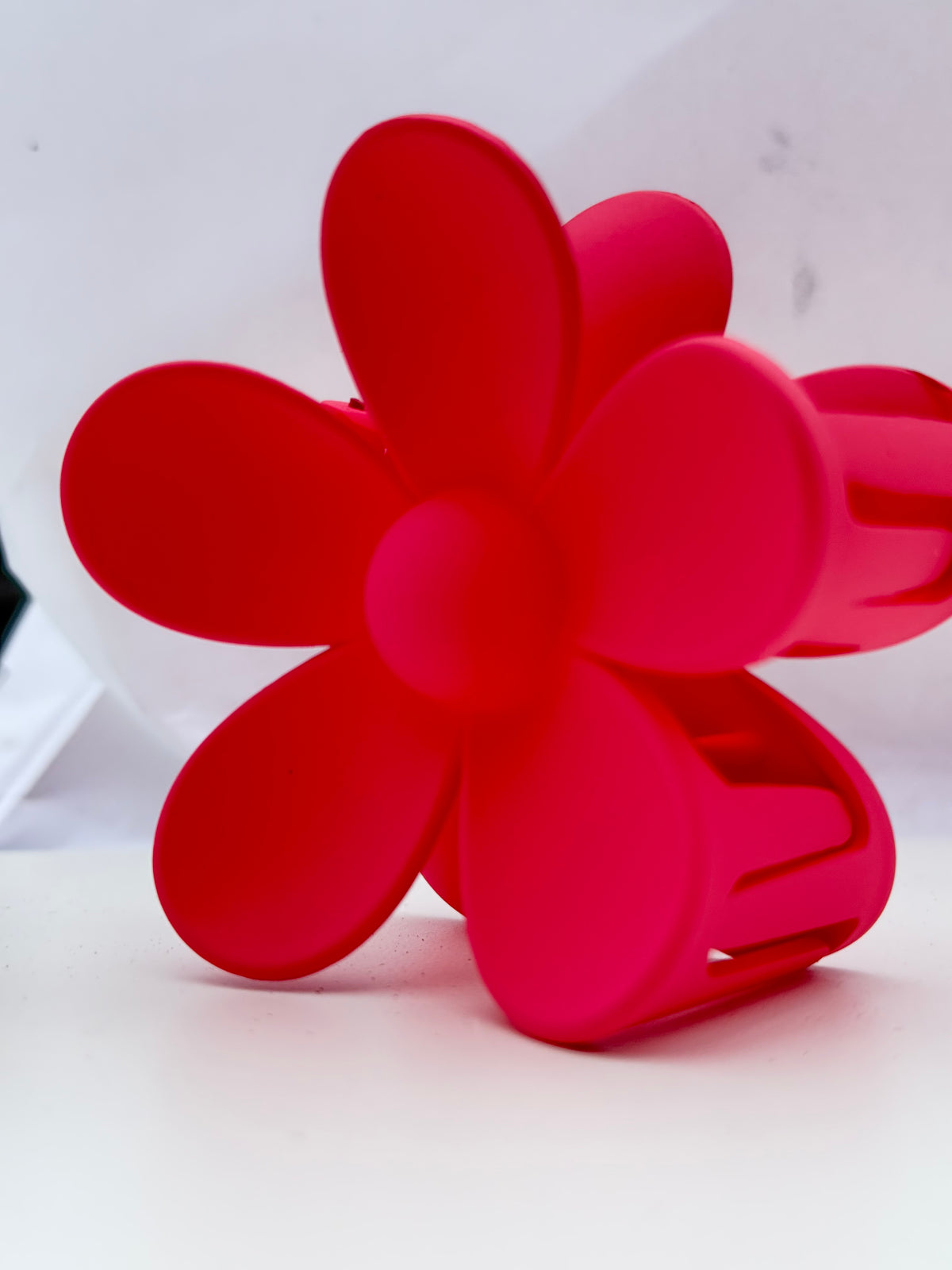 Rožinė kapkap gerbera II spalvos