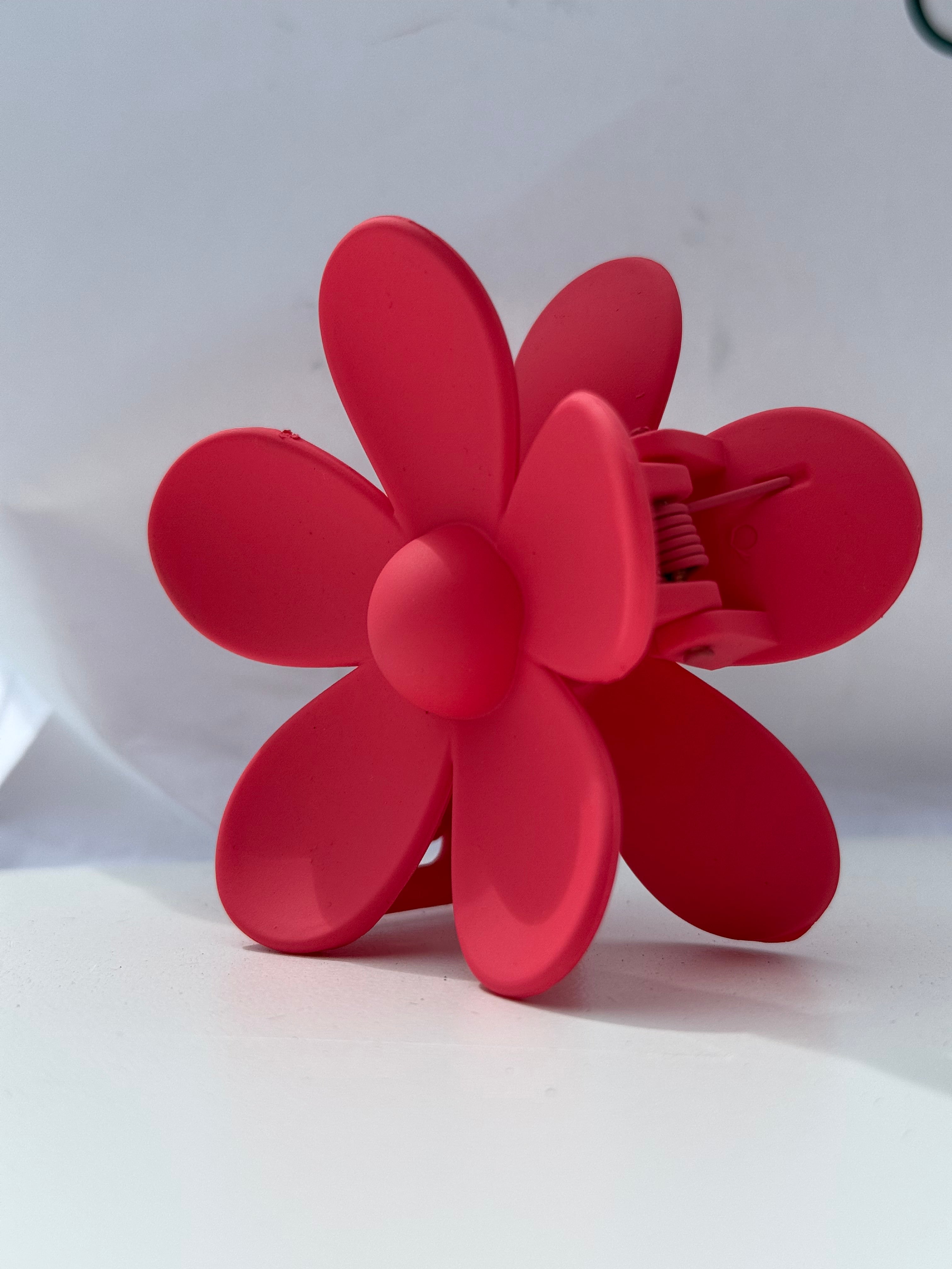 Rožinė kapkap gerbera II spalvos