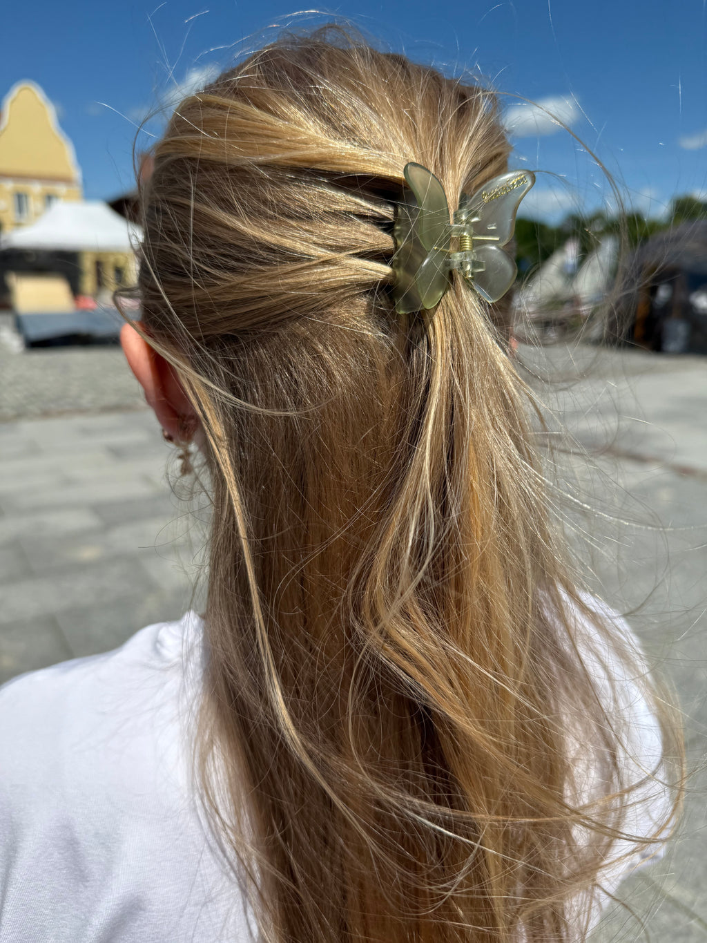 Pasteliniai drugeliai kapkap 5 spalvos