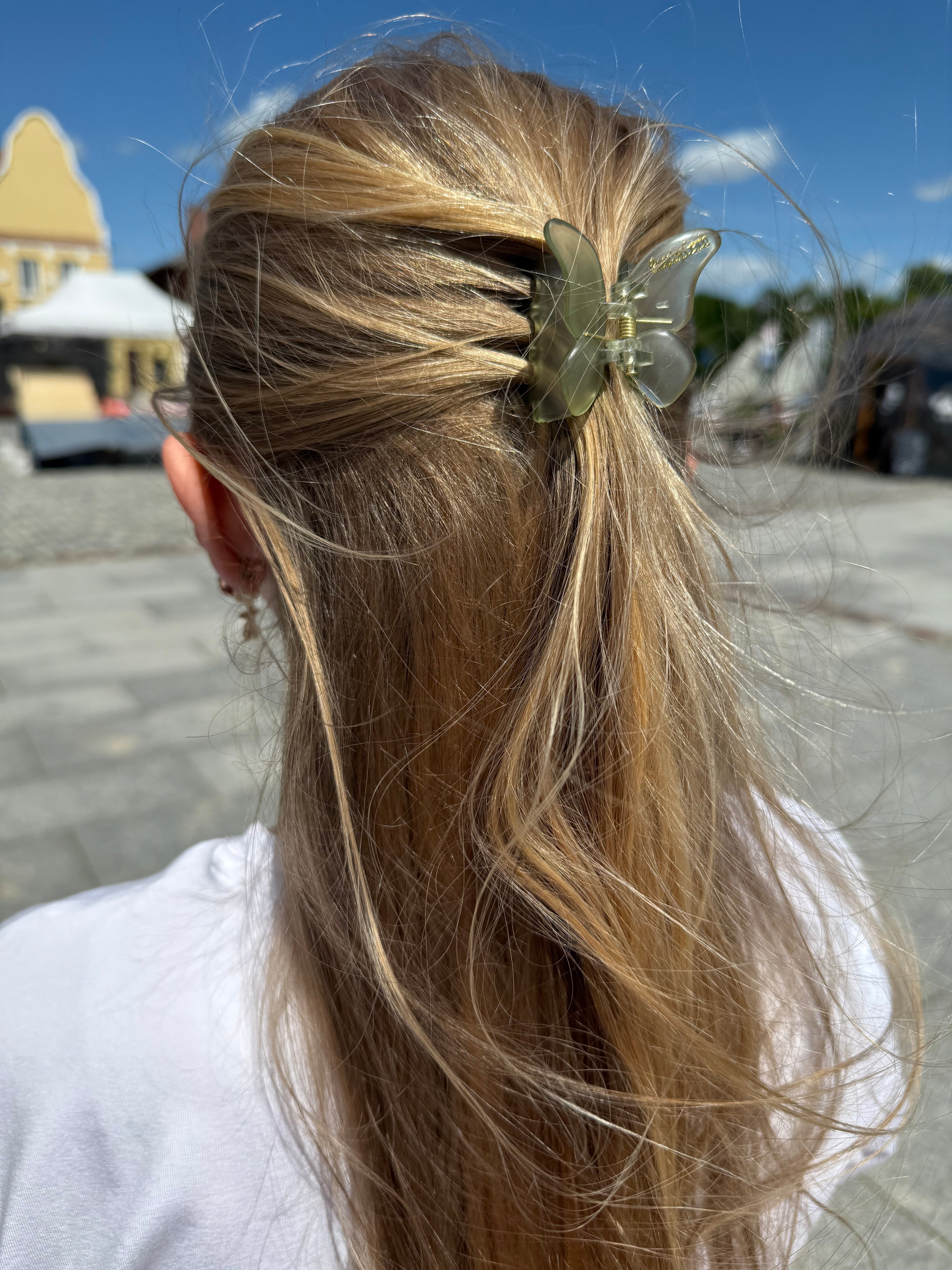 Pasteliniai drugeliai kapkap 5 spalvos