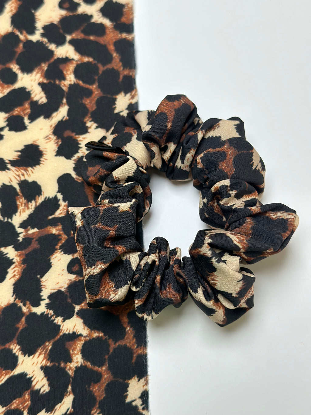 Gumelė leopardas 🐆