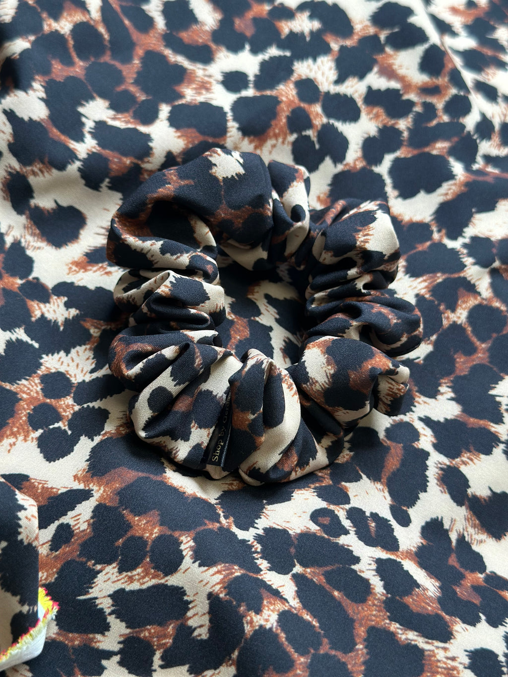 Gumelė leopardas 🐆