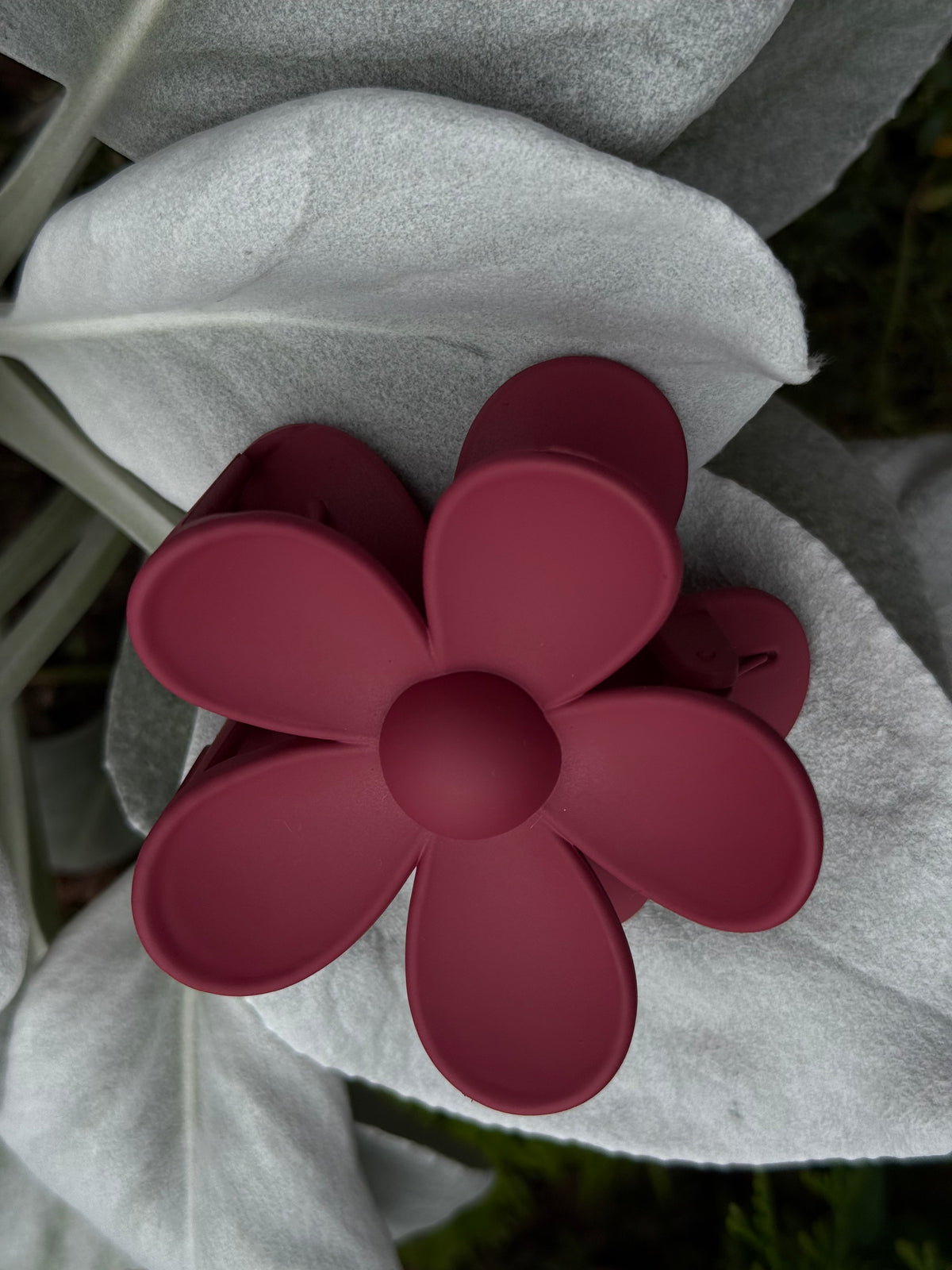 Bordo kapkap gerbera ♥️