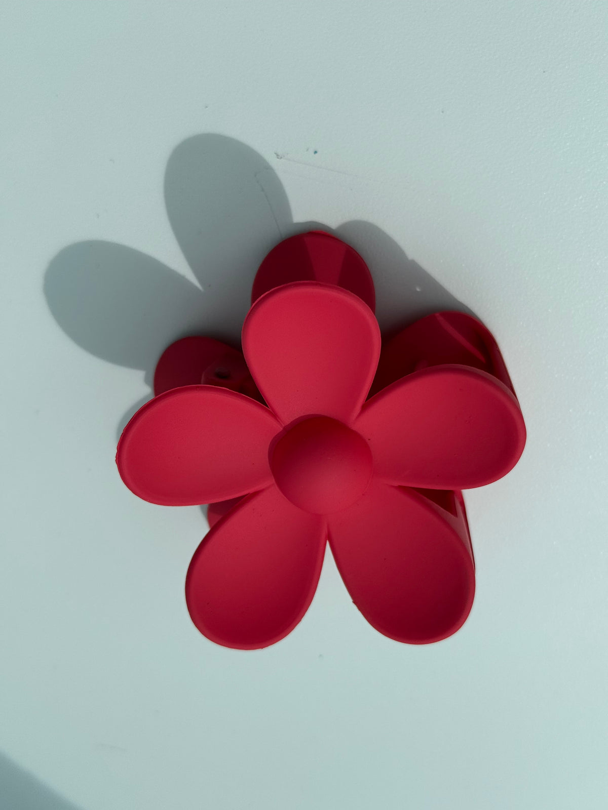 Rožinė kapkap gerbera II spalvos