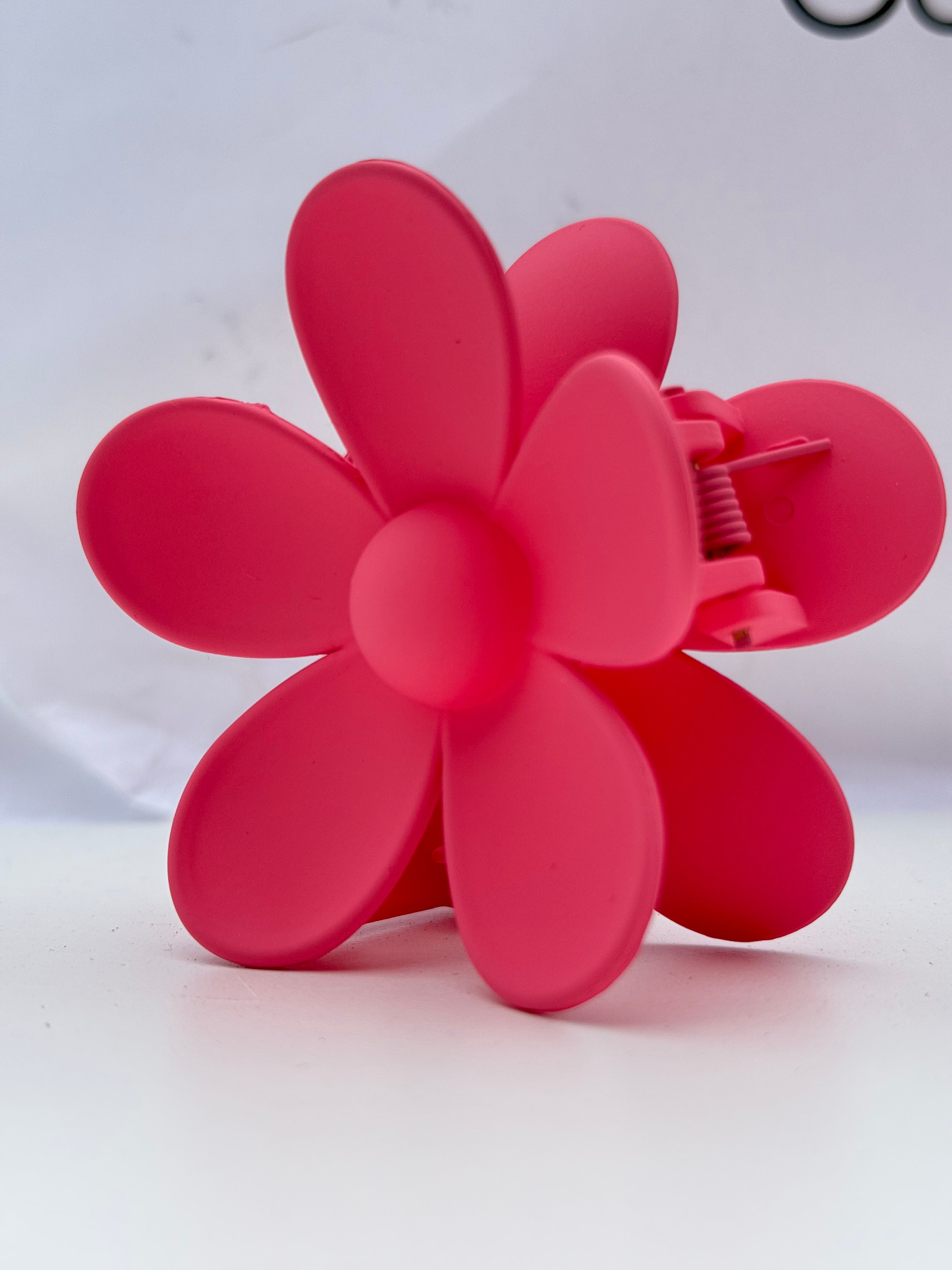 Rožinė kapkap gerbera II spalvos