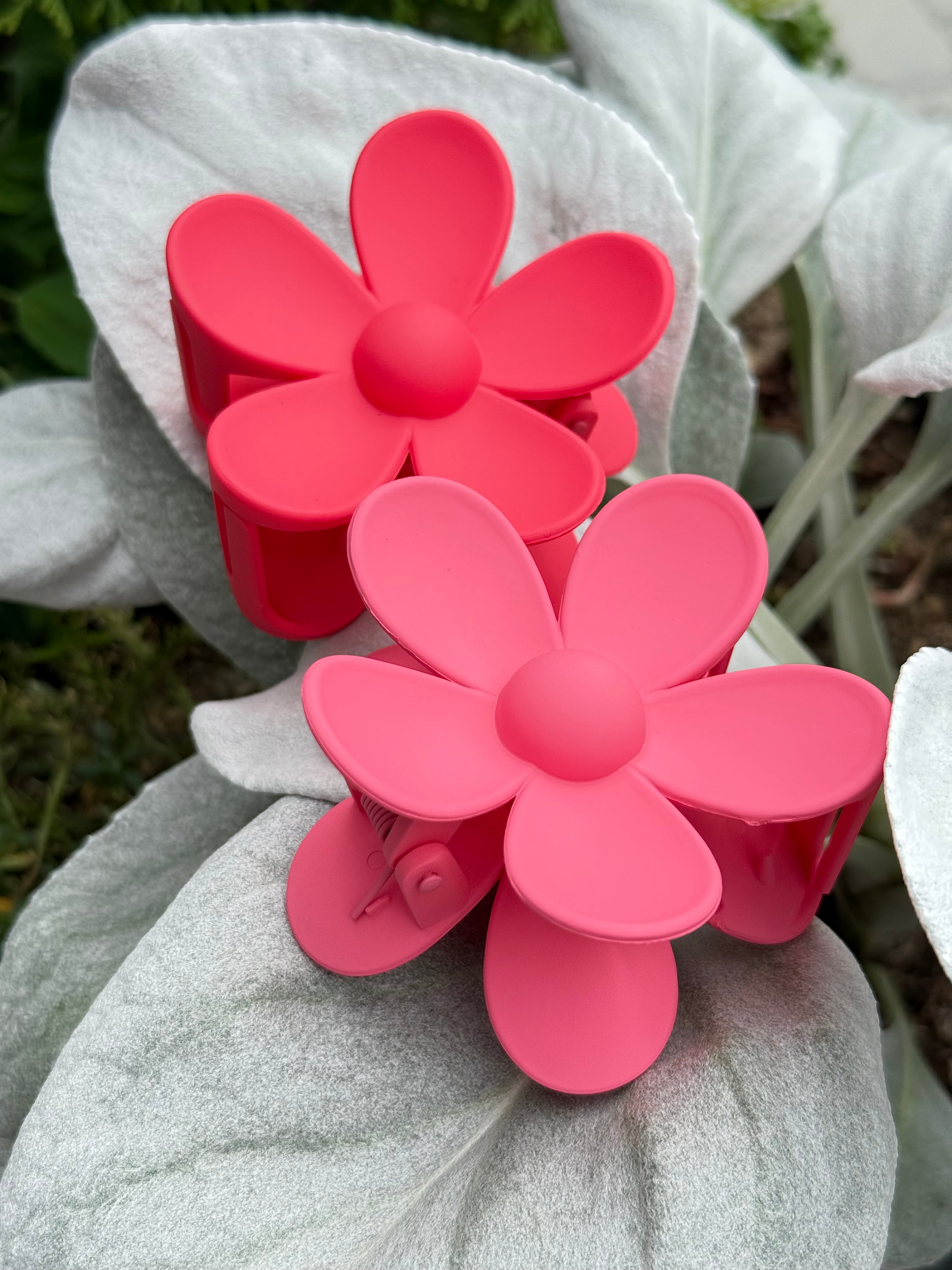 Rožinė kapkap gerbera II spalvos