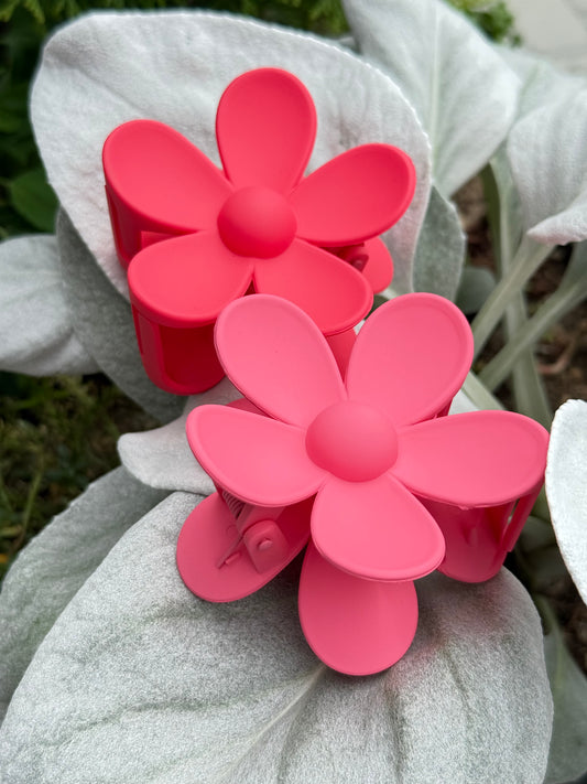 Rožinė kapkap gerbera II spalvos