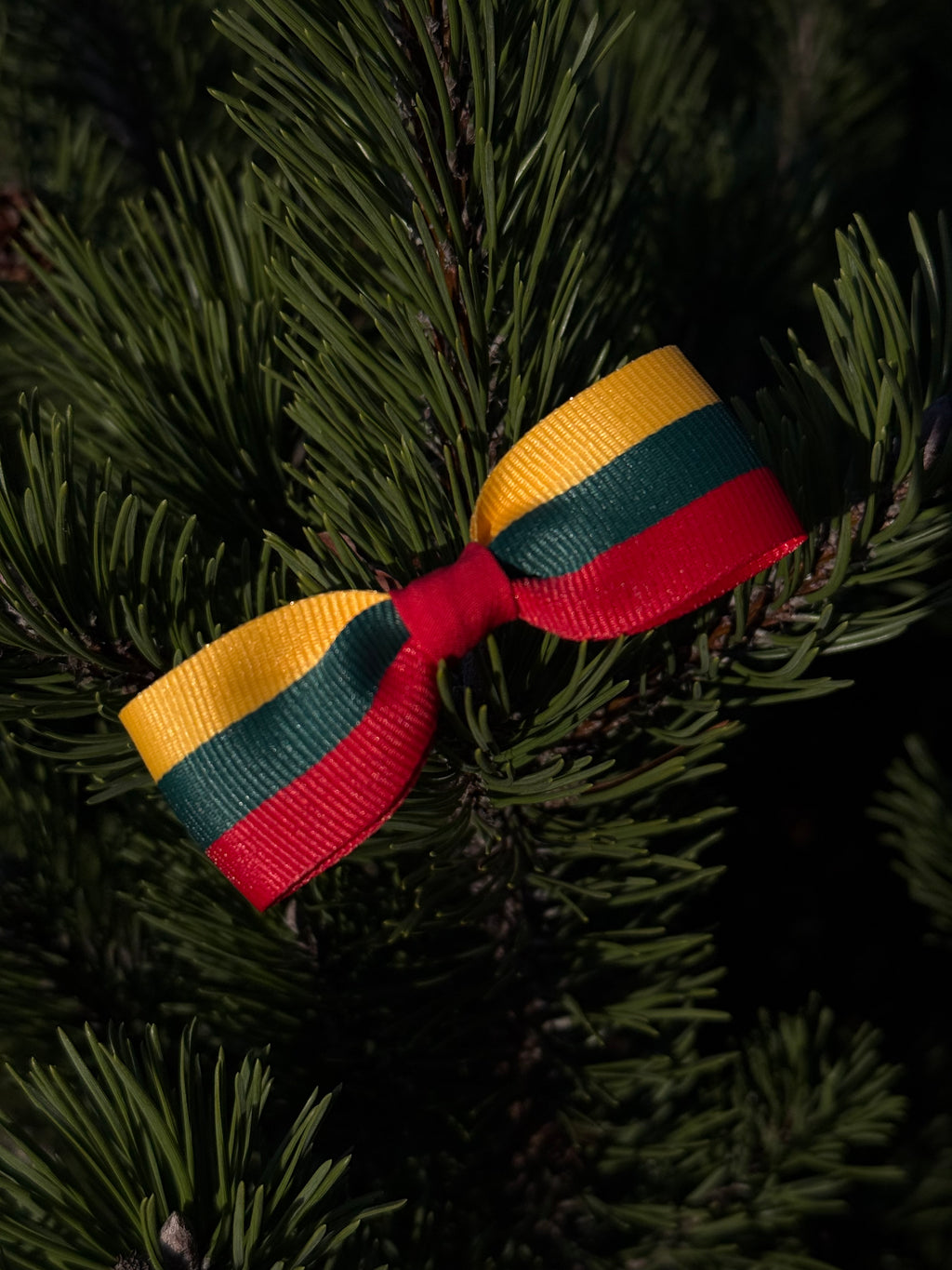 Lietuvos vėliavos spalvų sagė  🇱🇹