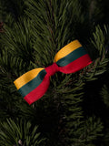 Lietuvos vėliavos spalvų sagė  🇱🇹