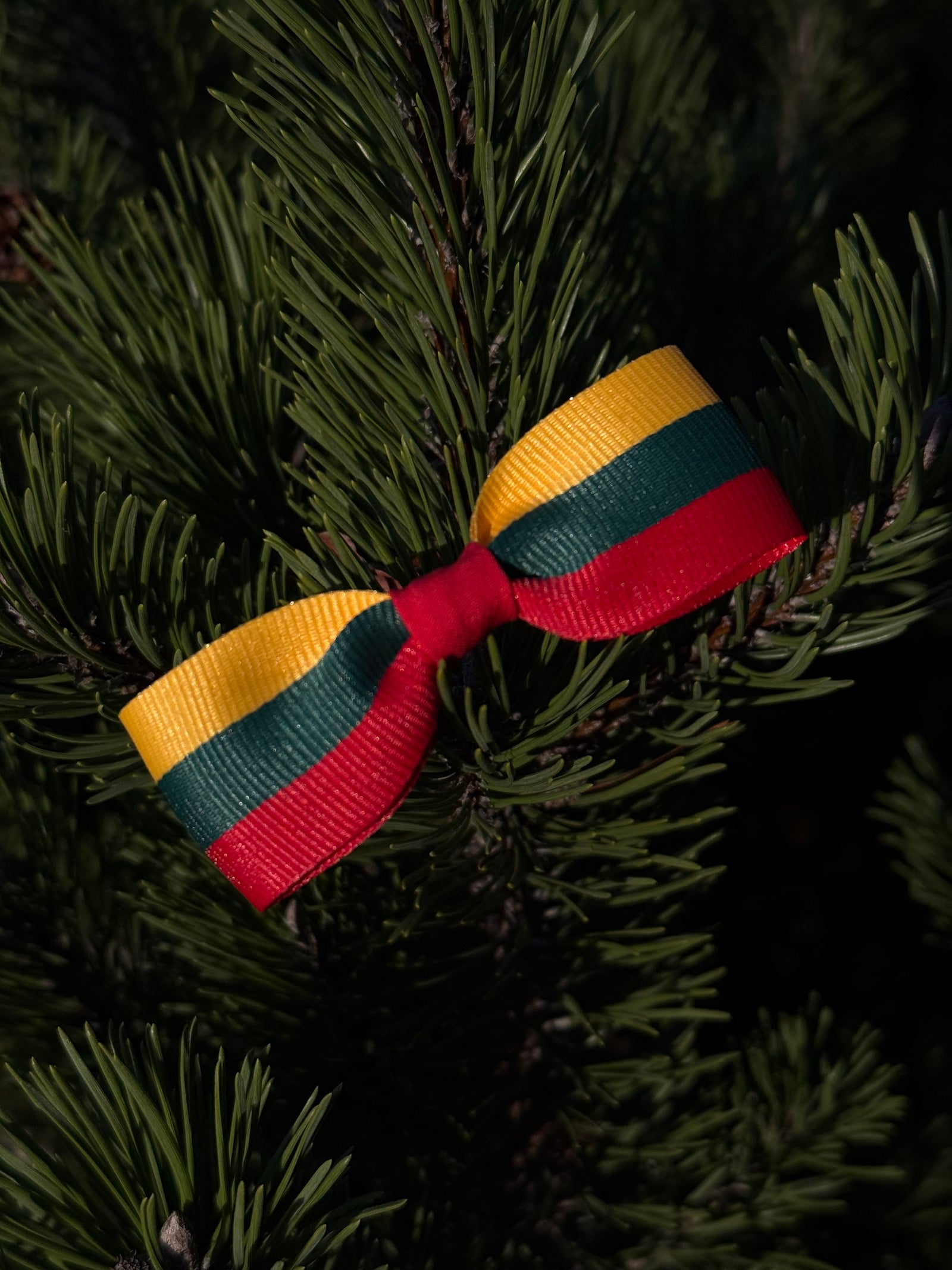 Lietuvos vėliavos spalvų sagė  🇱🇹