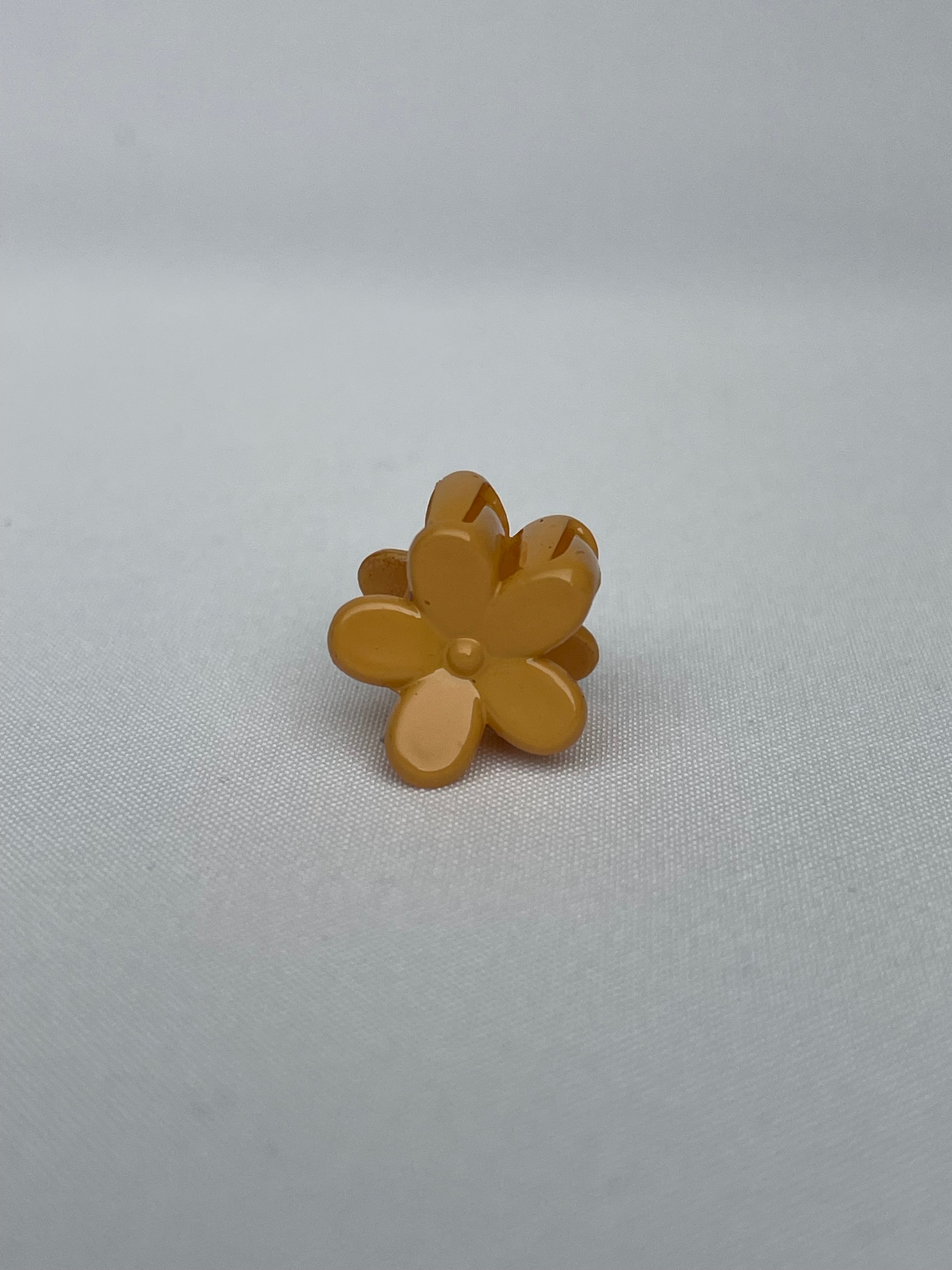 Mini Kapkap blizgiu paviršiumi gerbera