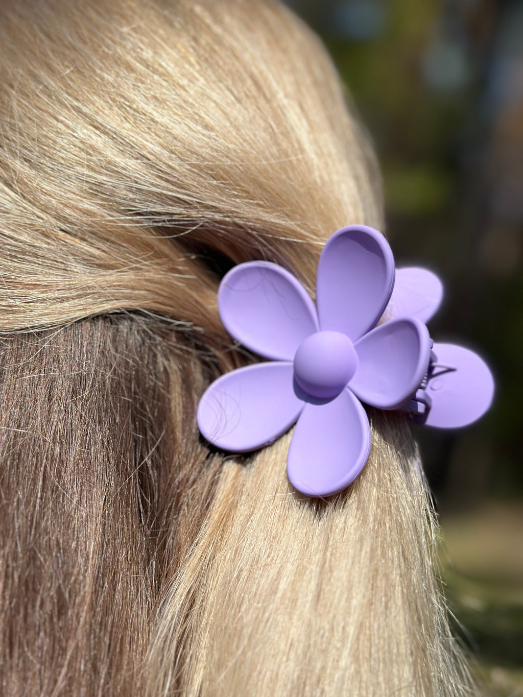 Alyvinė kapkap gerbera 💜